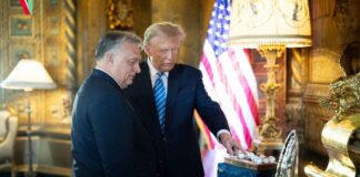 Роботы-собаки помогают защитить Дональда Трампа Orbán Viktor with Donald Trump