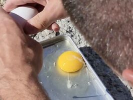 Eggs