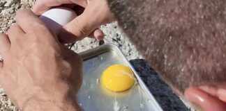 Ответственность за повышение цен на яйца Трамп возложил на предыдущую администрацию Eggs