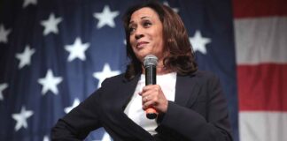 Харрис поздравила Трампа с победой на выборах Kamala Harris