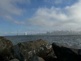 San Francisco Bay