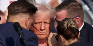 Дорогие конспирологи, в этот раз вы сами себя превзошли! Trump