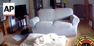 Dog chewing on lithium-ion battery, sparking Oklahoma house fire