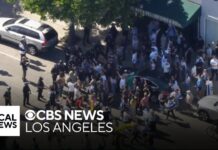 Антиизраильская потасовка у синагоги в Лос-Анджелесе Counter protesters clash outside Pico-Robertson synagogue