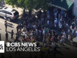 Counter protesters clash outside Pico-Robertson synagogue