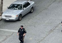 Восьмерым в Калифорнии предъявлены обвинения в краже автомобилей на $800 000 Police