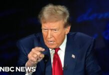 Дональд Трамп: “Иммигранты едят кошек и собак” Trump