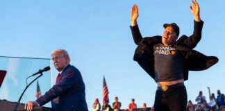 Илон Маск возглавит Департамент по контролю эффективности государственного управления Trump, Musk