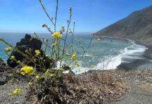 Где снимался сериал Санта-Барбара Monterey, CA