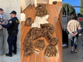 Bear scam