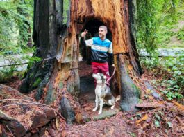 Humboldt Redwoods State Park