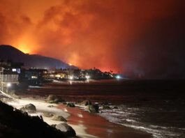 Palisades fire