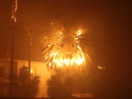 Palisades fire
