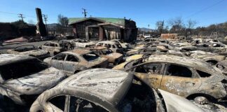 Помощь пострадавшим от пожаров в Большом Лос-Анджелесе Aldena fire