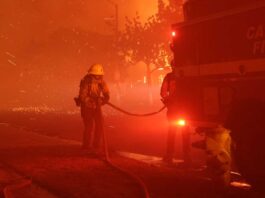Palisades fire