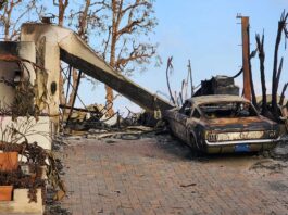 Pacific Palisade fire, Malibu, California