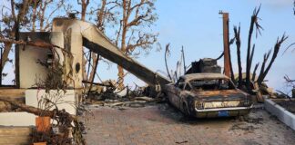 Лос-Анджелес ждет долгое восстановление после пожаров  Pacific Palisade fire, Malibu, California