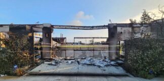 В Лос-Анджелесе подтверждена 31-я смерть в результате январских лесных пожаров California fires