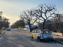 California fires