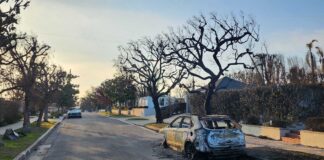 Смогут ли калифорнийцы восстановиться после пожаров? California fires