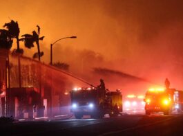 Palisades fire