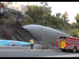 Pacific Palisade fire