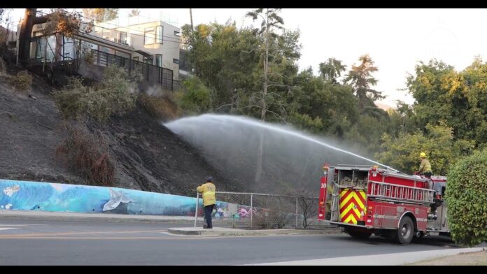 Pacific Palisade fire