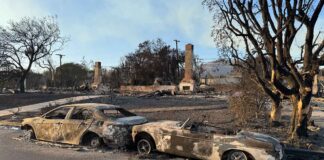 Мэр Лос-Анджелеса Карен Басс уволила начальницу пожарной охраны Pacific Palisade Malibu fire