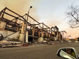 Pacific Palisade fire