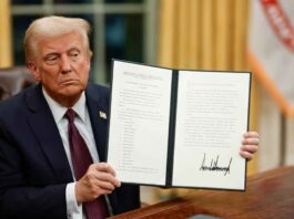 President Donald Trump