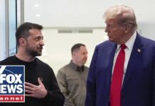 Zelensky and Trump