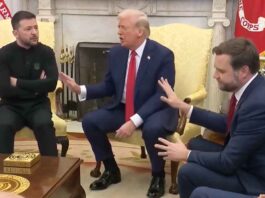 Zelensky Trump Vance