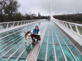 Sundial Bridge