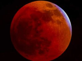 Bloodmoon