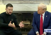 Трамп и Зеленский в очередной раз обсуждают завершение войны Zelensky and Trump