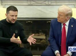 Zelensky and Trump
