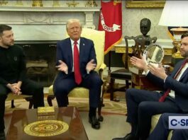 Zelensky, Trump, Vanc talk