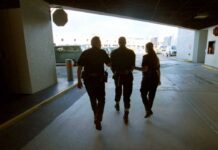 Сообщается о рейдах на дальнобойщиков из СНГ в Индиане CBP