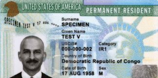 Трамп приостановил выдачу некоторых видов грин-карт greencard