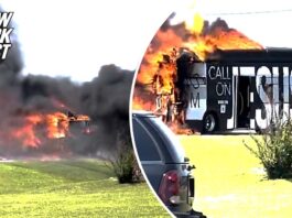 Jesus bus