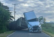 Водители-дальнобойщики должны знать английский — или штраф Truck with bees