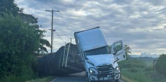 Водители-дальнобойщики должны знать английский — или штраф Truck with bees
