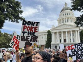 No Kings protest