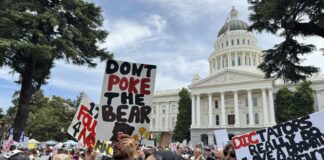 В США прошли одни из самых массовых протестов в истории No Kings protest