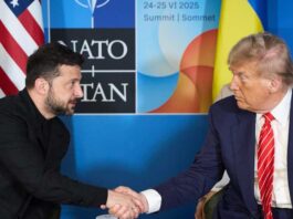 Trump Zelensky meeting