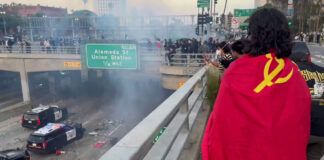 США охвачены масштабными протестами Los Angeles ICE protest