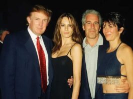 epstein-trump