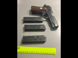 Gun
