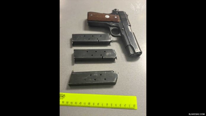 Gun