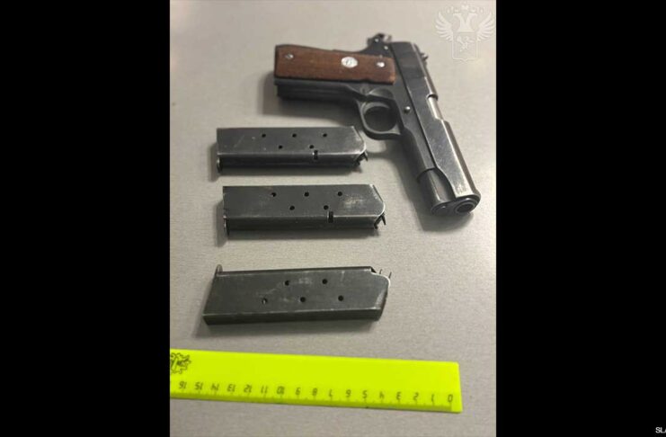 Gun